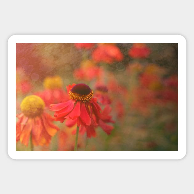 Helenium flower with texture Sticker by RosNapier